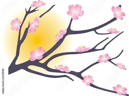 Flowering branch