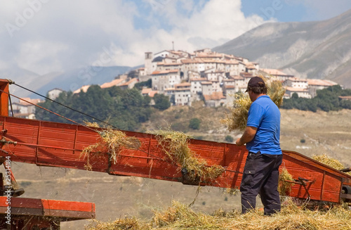 Trebbiatura lenticchie a Castelluccio di Norcia