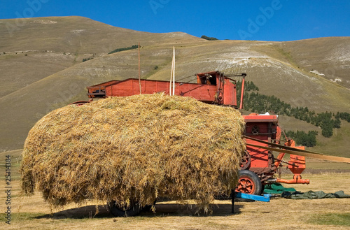 Trebbiatura lenticchie a Castelluccio di Norcia