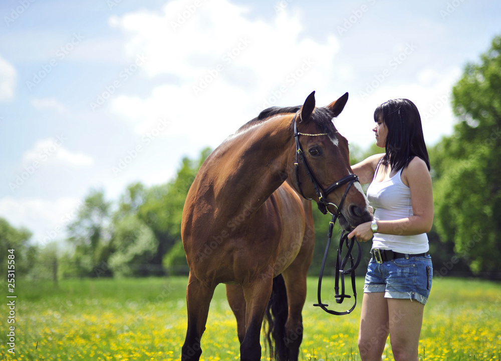 Tierliebe Tierliebe