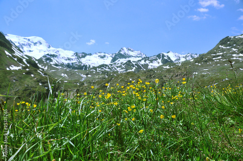 Weißseespitze - Kaunertal - Österreich