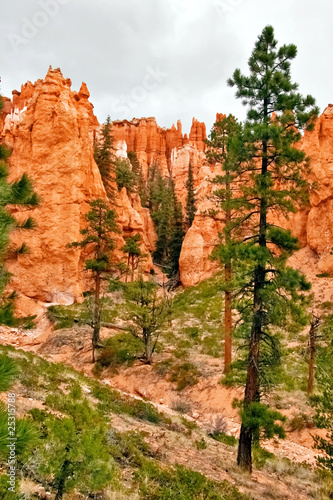Slopes of Bryce canyon. Utah. USA.