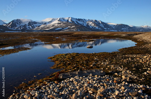 Obraz na płótnie Small lake in tundra landscape of Spitsbergen w salonie