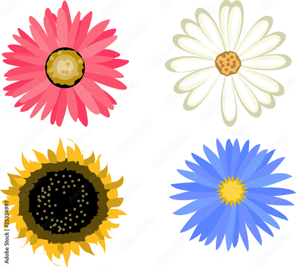Blumen Blumen