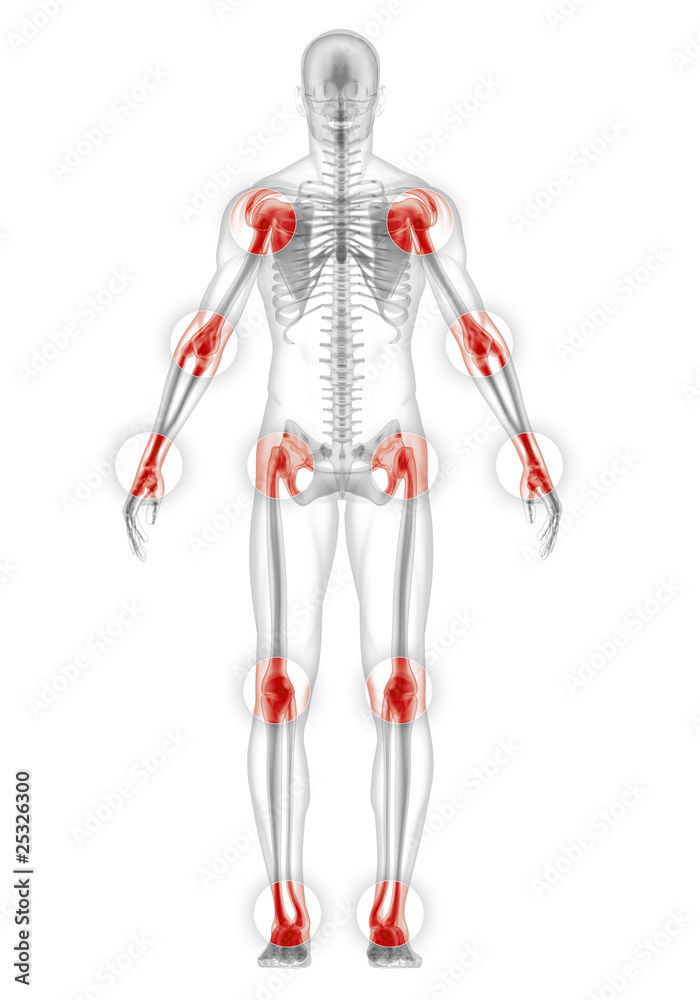 Как выглядят суставы человека фото Focused on human joints Ілюстрація Stock Adobe Stock
