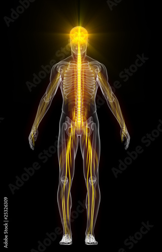 Human body with flashing neurons photo