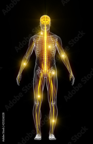 Human body with neural energy