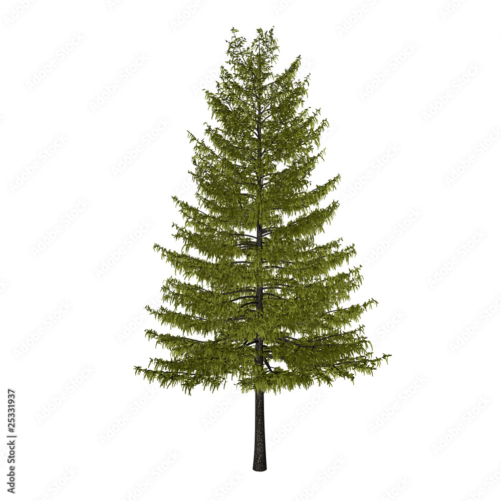 cg baum 3 cg baum 3