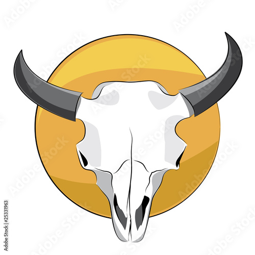 Craneo de bisonte