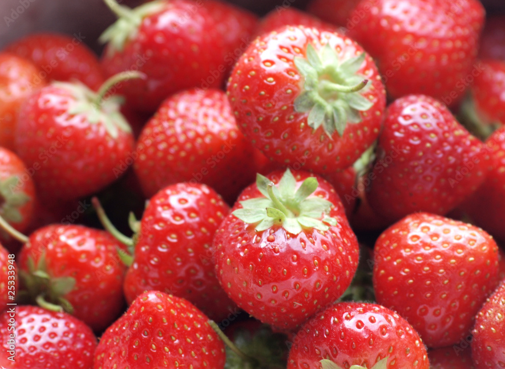 Erdbeeren Erdbeeren