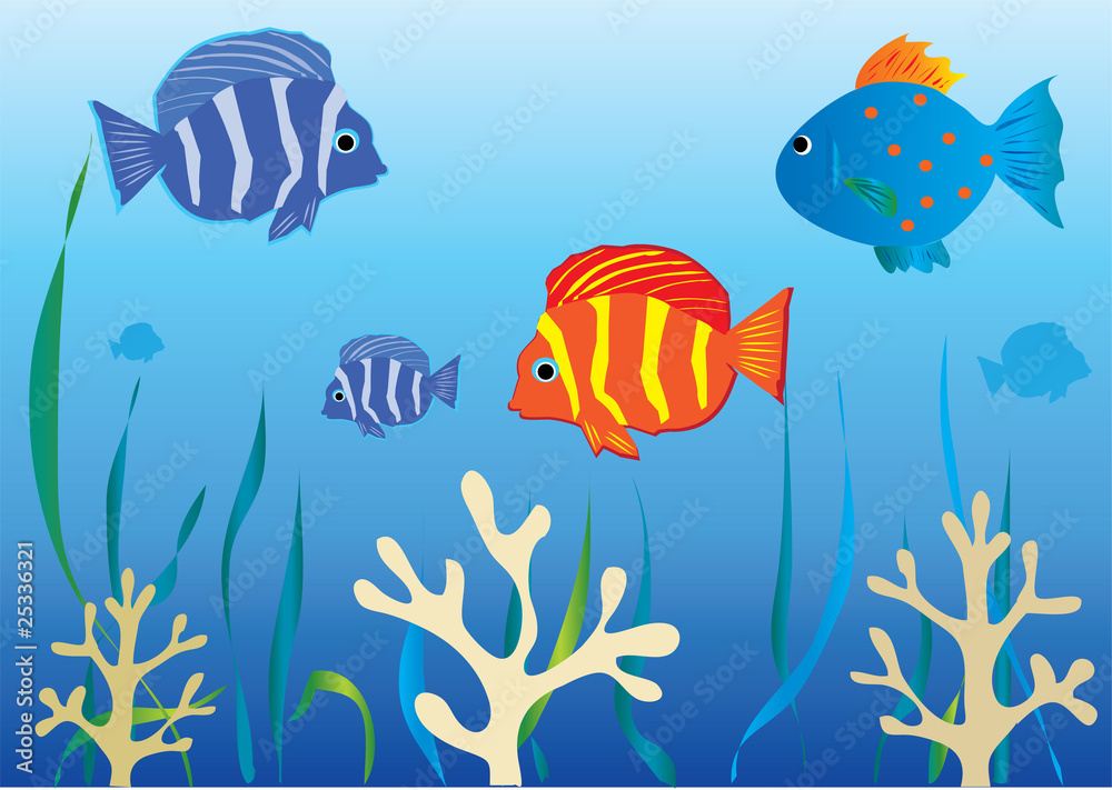 Fototapeta premium aquarium with tropical fishes and corals