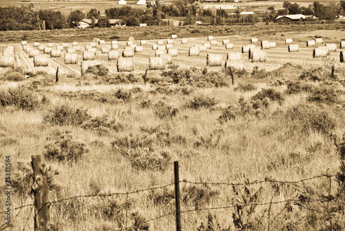 Farm