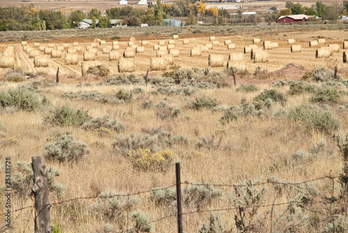 Farm