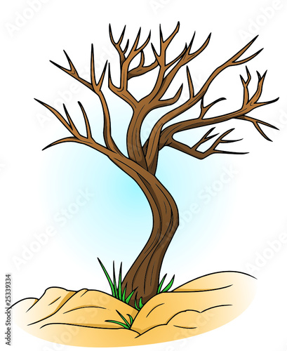 kahler Baum