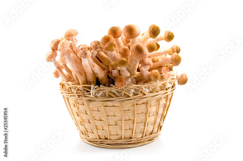 Mushrooms in a basket