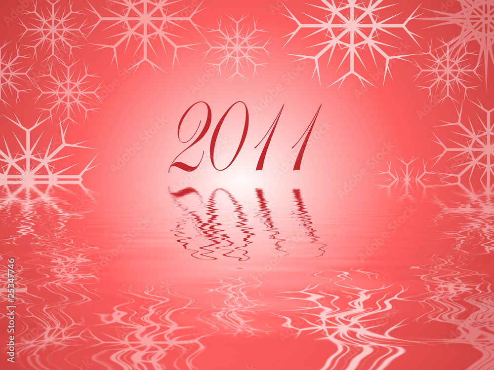 2011 2011