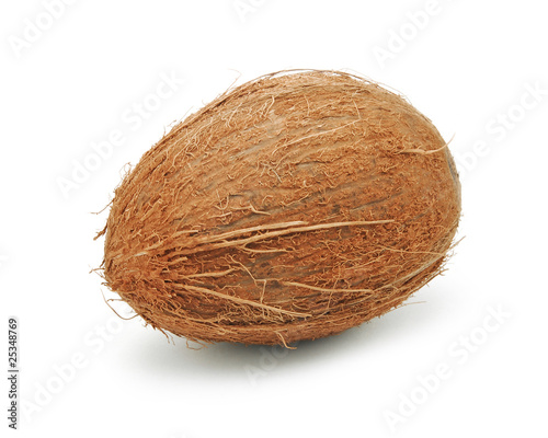 coconut isolated photo