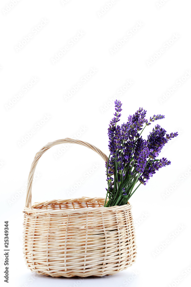 basket with lavender flowers
