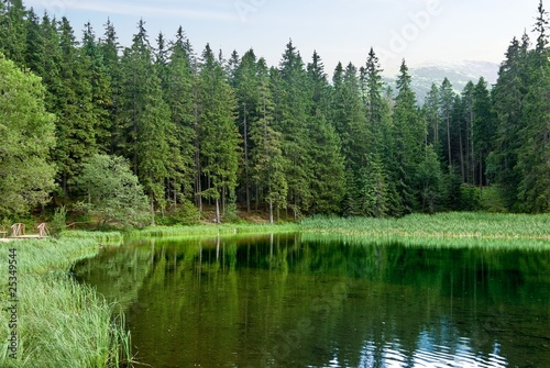 beautiful lake in a forest