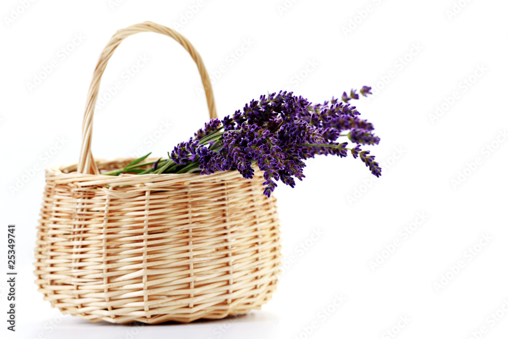 basket with lavender flowers basket with lavender flowers