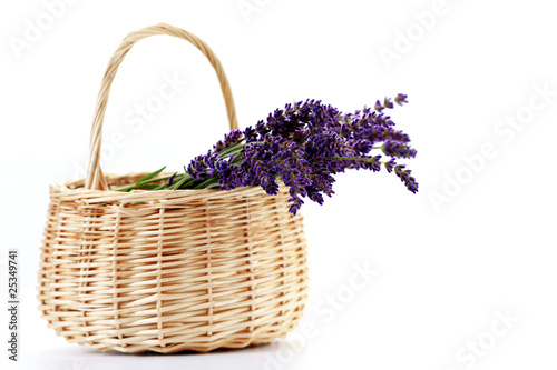 Fototapeta Naklejka Na Ścianę i Meble -  basket with lavender flowers