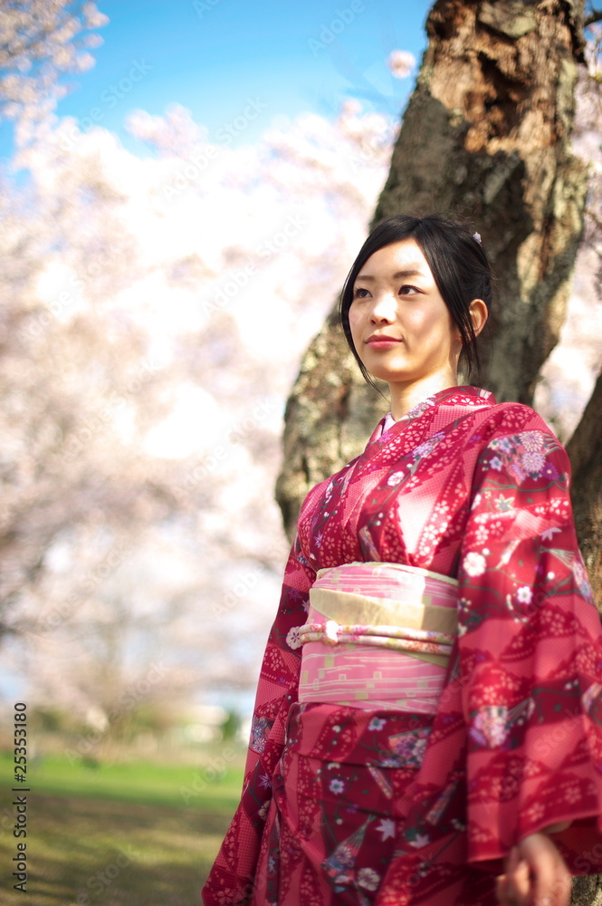 桜 着物 日本 桜 着物 日本