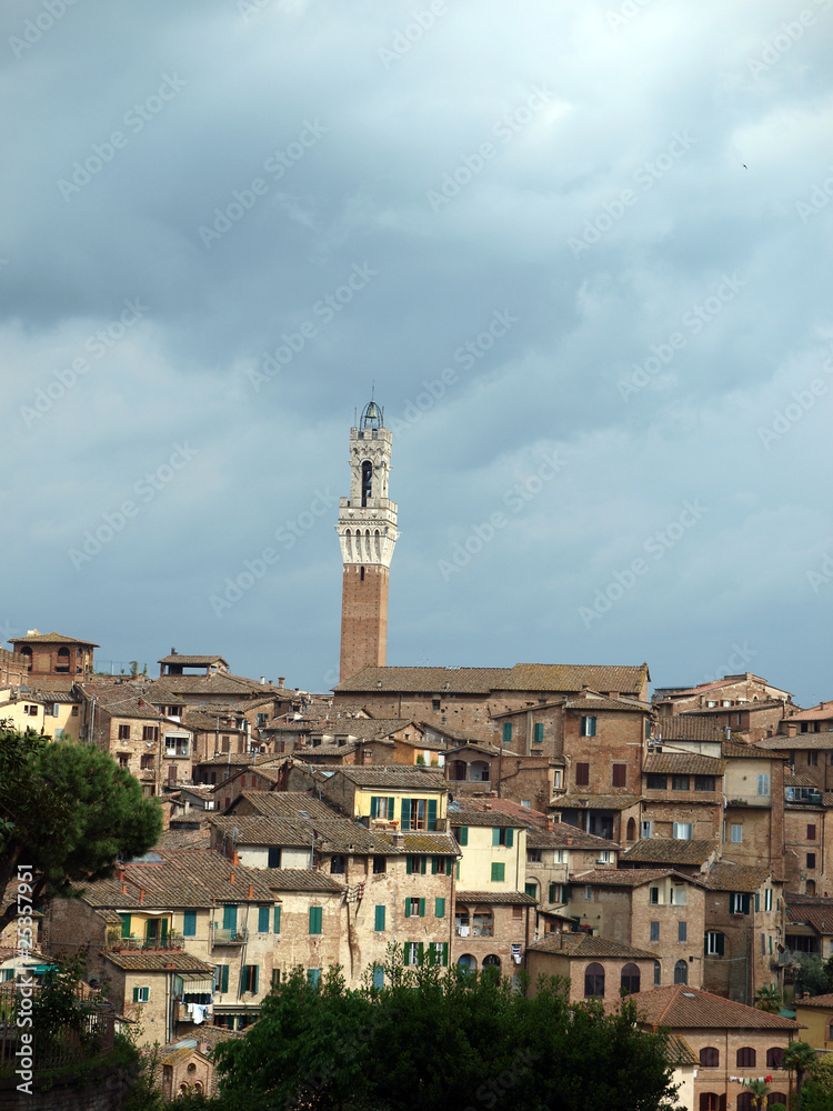Siena - panorama of the old part of town with Torre del Manga