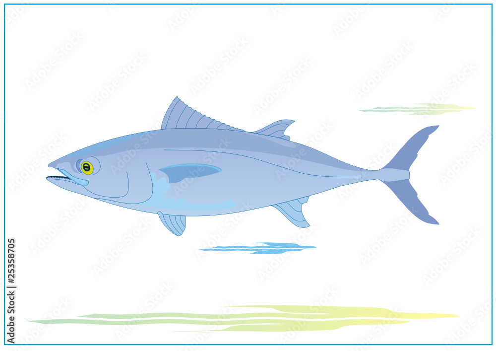 Blufin Blufin