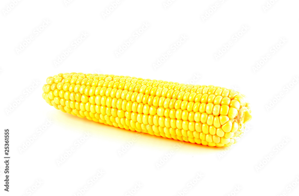 Maiskolben V