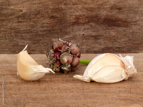 Knoblauch und Brutzwiebeln photo