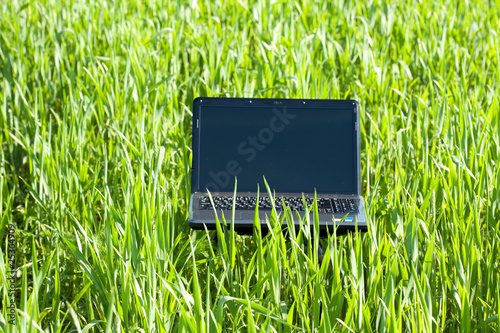 laptop in green grass