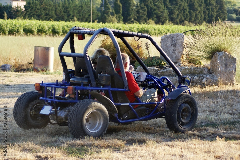 Obraz premium Buggy