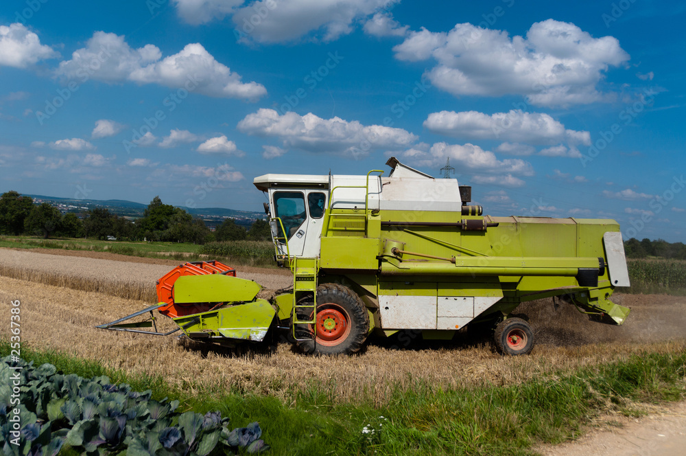 Obraz premium Combine harvesting corn