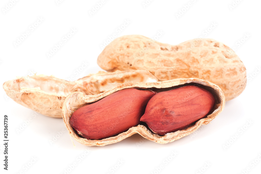 Macro of an opened peanut isolated on white background Macro of an opened peanut isolated on white background