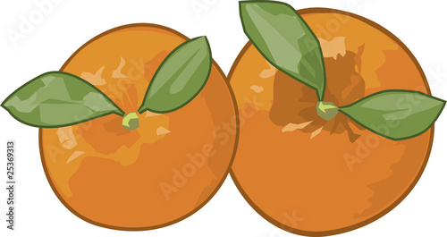 Two oranges isolated background.