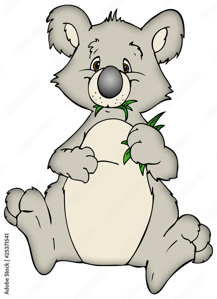 Naklejka premium Koala, Koalabär, Australien, Eukalyptus, Dschungel