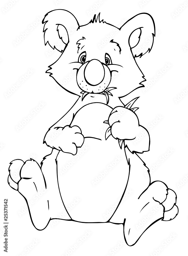 Naklejka premium Koala, Koalabär, Australien, Eukalyptus, Dschungel