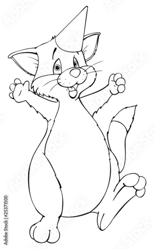 Katze, Kater, Feier, Fest, Party, Partyhut, Geburtstag