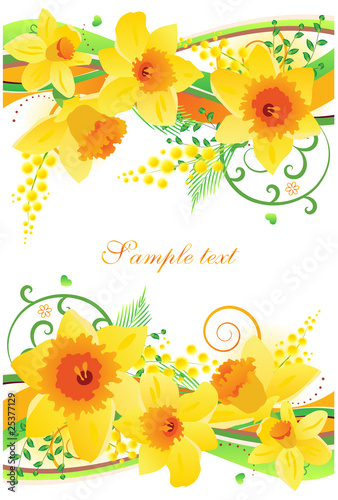 Fototapeta Naklejka Na Ścianę i Meble -  Floral daffodil design element