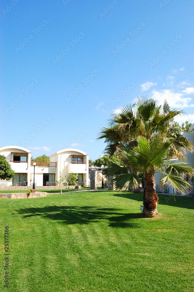 Palm tree on the lawn at luxury hotel, Crete, Greece