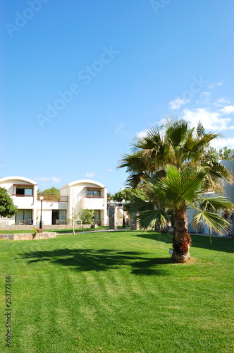 Palm tree on the lawn at luxury hotel, Crete, Greece © slava296