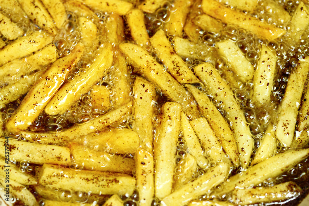 french fries french fries