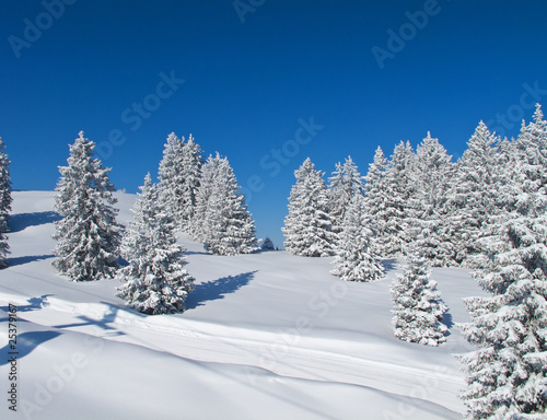 Winter in the alps © swisshippo