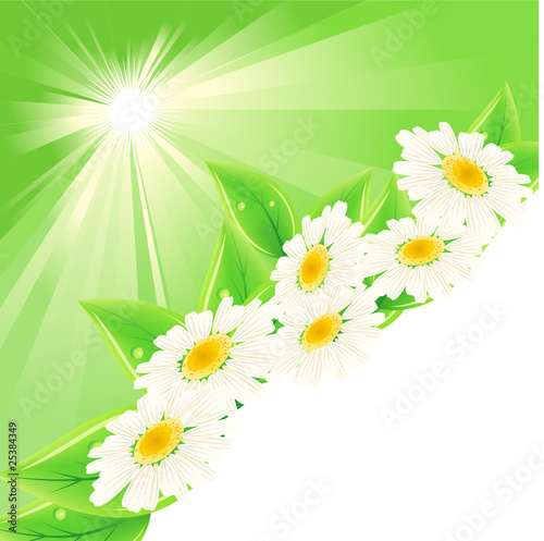 Background with green fresh leaves and flowers