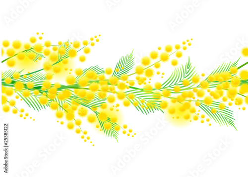 Seamless horizontal spring mimosa pattern