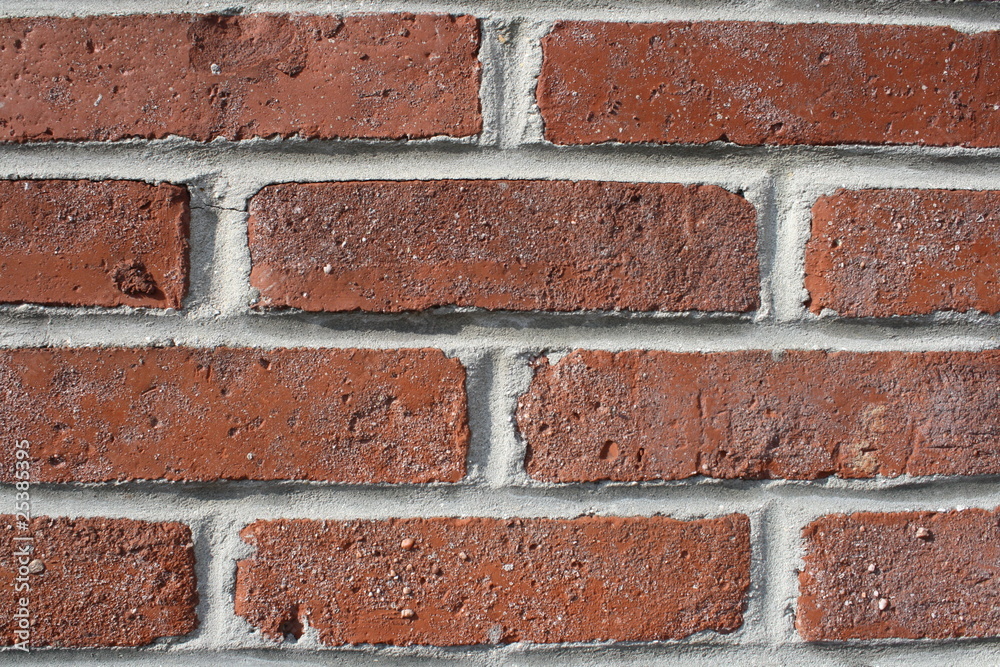 Obraz premium Texture - briques