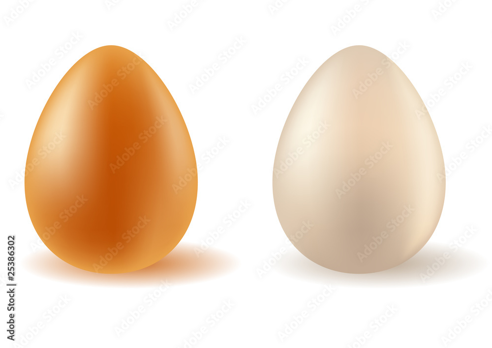 Two realistic vector eggs Two realistic vector eggs