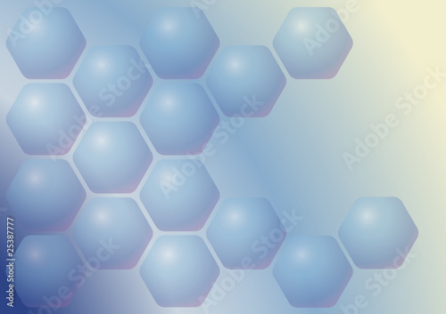 LCD