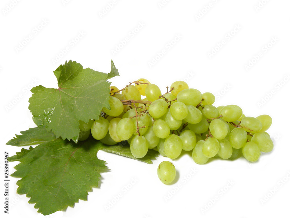 bunch of grapes isolated on white background bunch of grapes isolated on white background