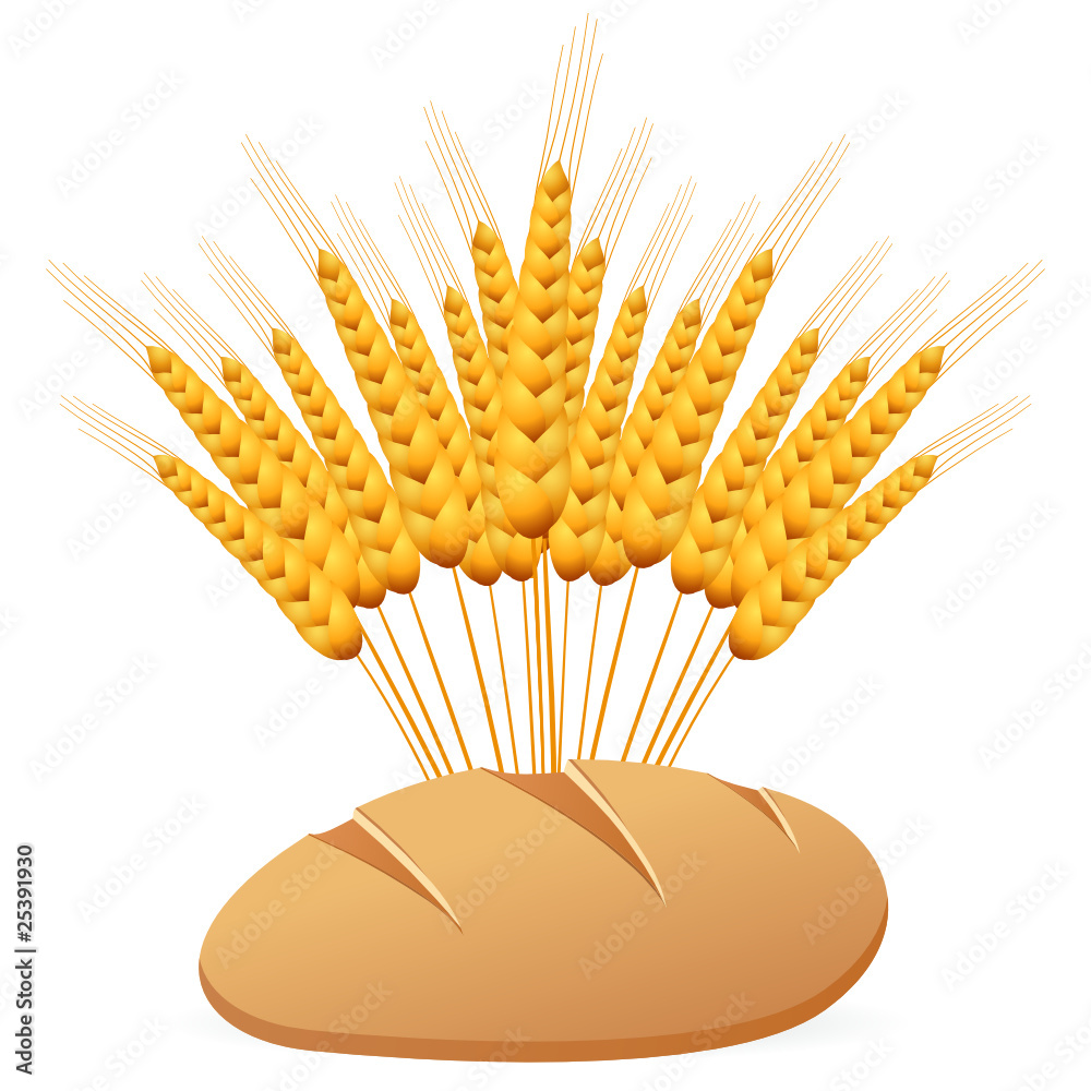 Brot und Ähre Stock-Vektorgrafik | Adobe Stock